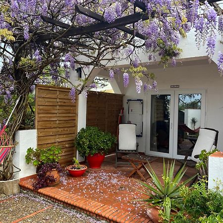 Arriba Stijlvol Appartement Met Zwembad En Tuin Conil De La Frontera Exterior foto